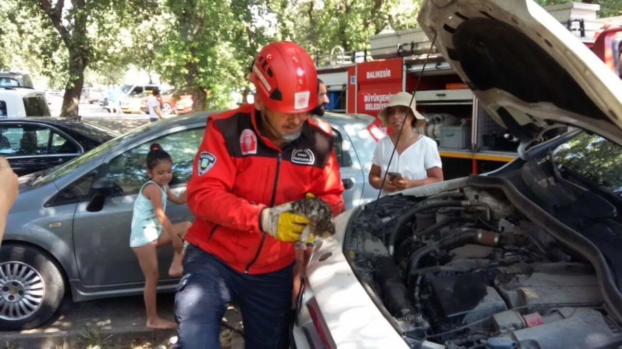 Otomobilin motoruna sıkışan kediyi itfaiye çıkardı