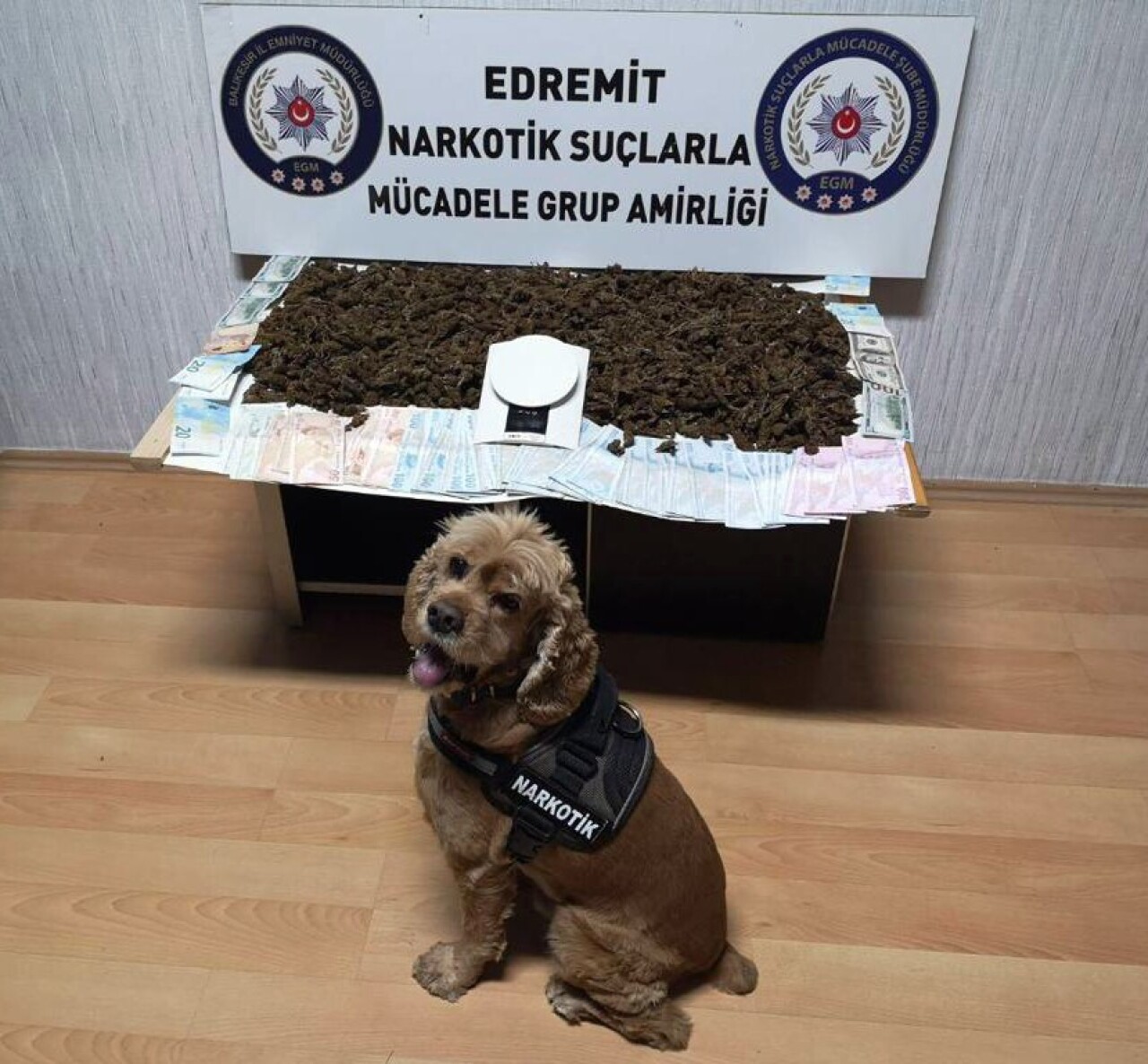 (Özel) Narkotik köpeğinden bingo