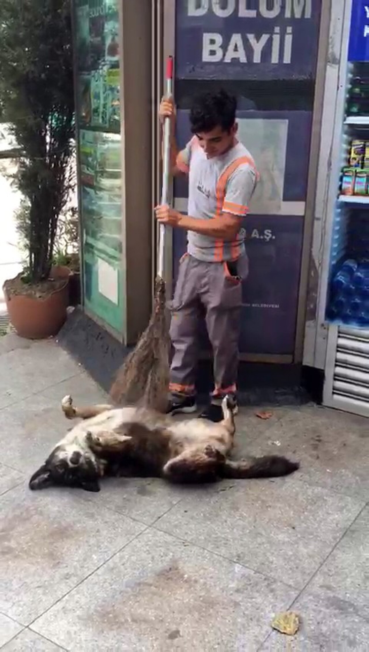 (Özel) Temizlik işçisinden köpeğe masaj