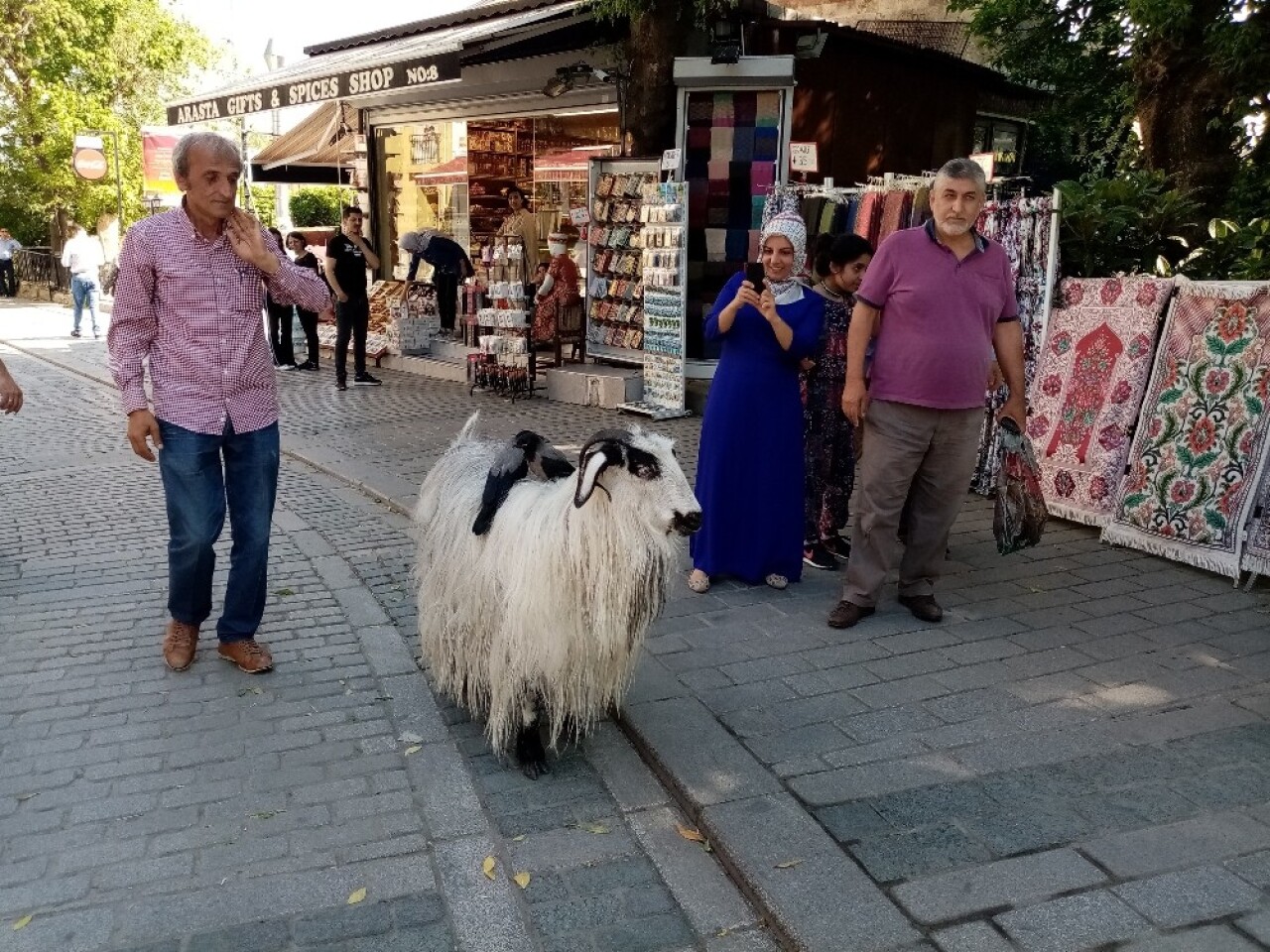 (Özel) Yanından ayırmadığı keçisiyle evcilleştirdiği kargaları arkadaş oldu