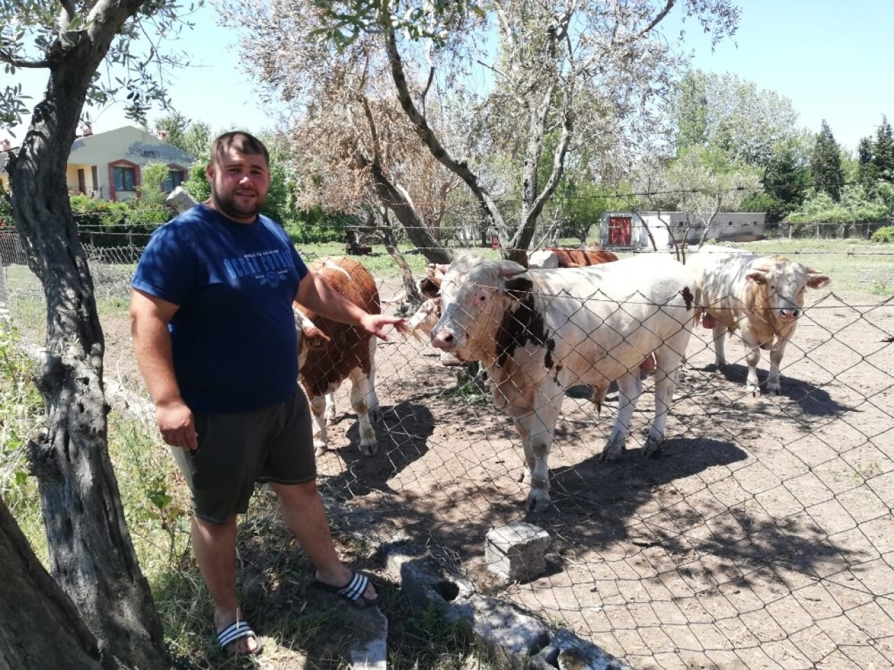 Besiciler Kurban Bayramı’nı bekliyor