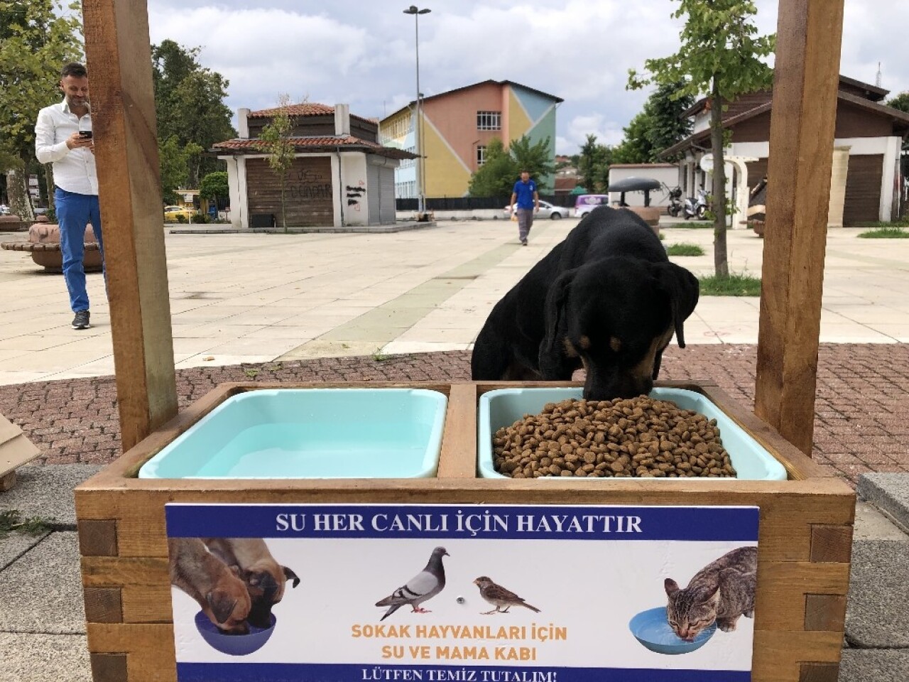 Beykoz’da sokak hayvanları yuvasız değil