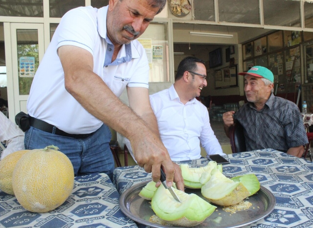 Bursa’da kavun hasadı başladı, fiyatlar yüzleri güldürdü