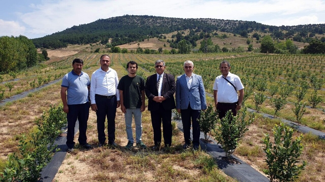 Dağ ilçelerinde yaban mersini yetiştiriciliğine rağbet