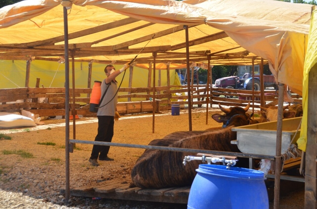 Gemlik Kurban Pazarı yeniliklerle açıldı