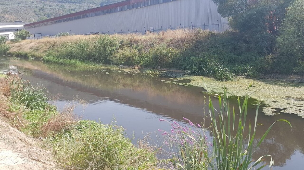 Gemlik’te Karsak deresi köpük içinde