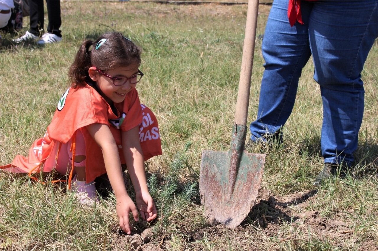 Her 15 Temmuz şehidi için 1 fidan dikildi