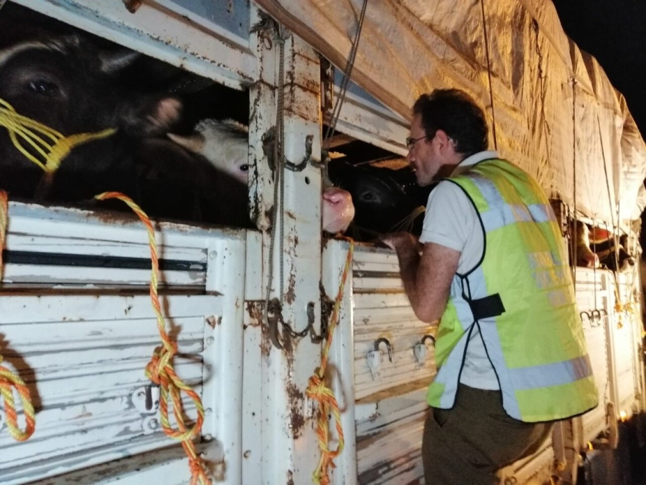 İstanbul’da kurban denetimi başladı