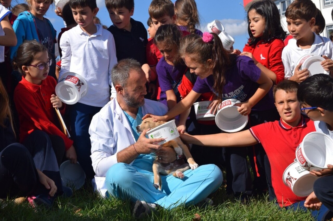 Osmangazi’de binlerce sokak hayvanı sağlığına kavuştu