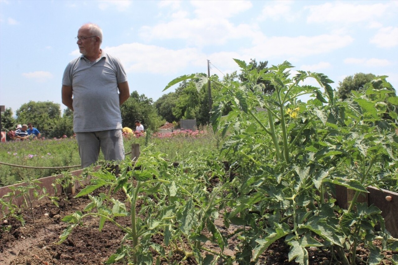 (Özel) Birleşmiş Milletler gibi bostan bahçesi...