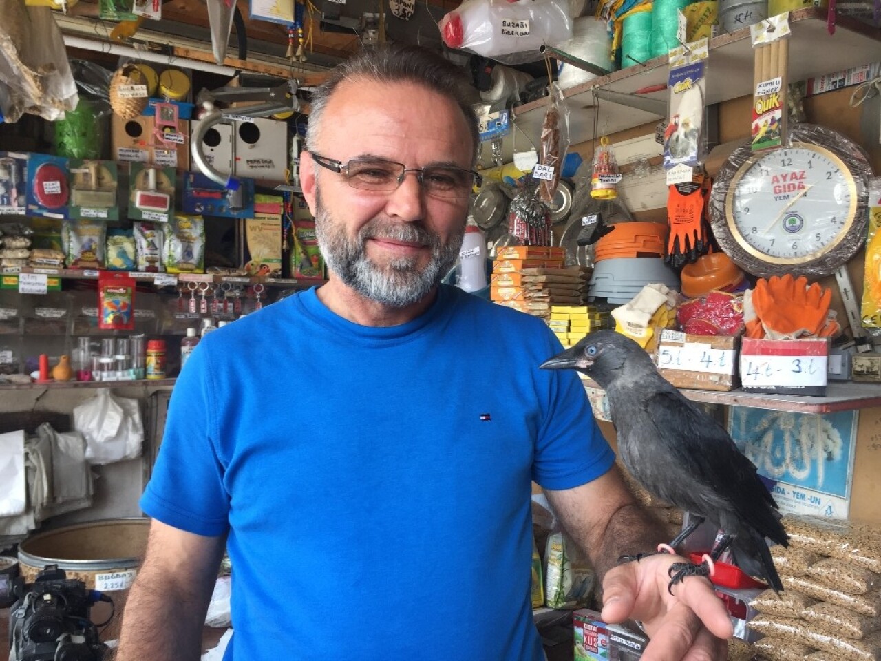 (Özel) Yuvasından düşen karga yavrusu ‘Abdi’yi 3 aydır elleriyle besliyor