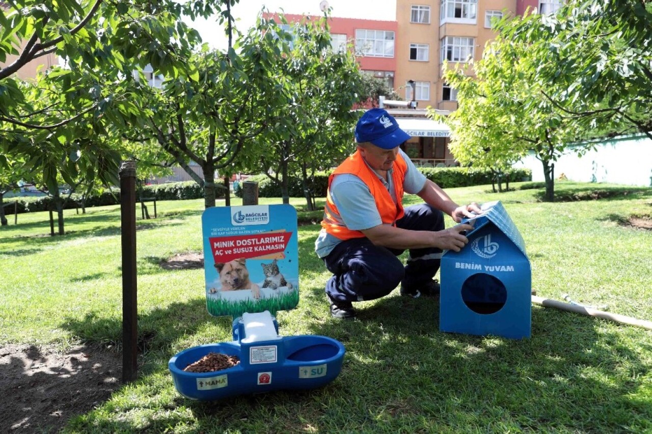 Sıcaktan bunalan sokak hayvanları için su ve mama hizmeti