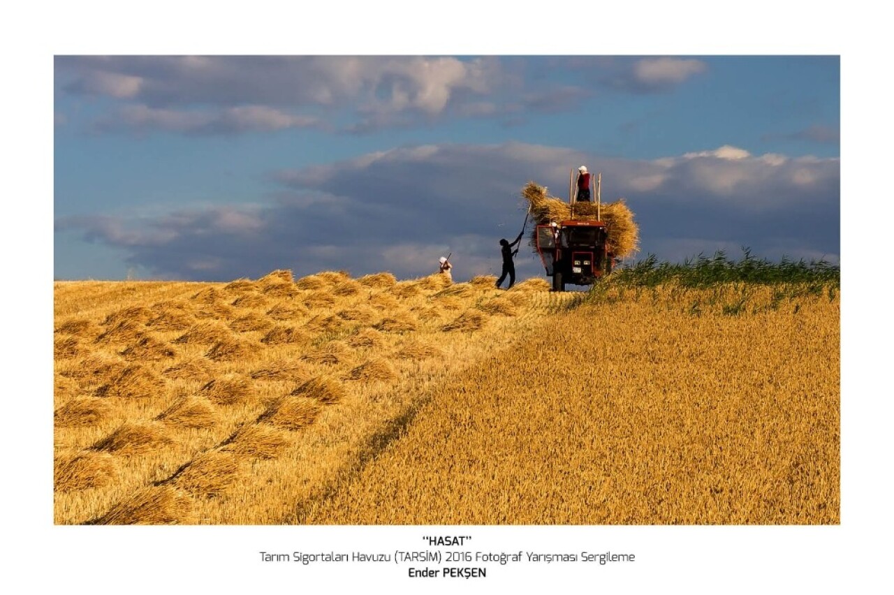 TARSİM’den ‘Hasat Bayramı’ mesajı