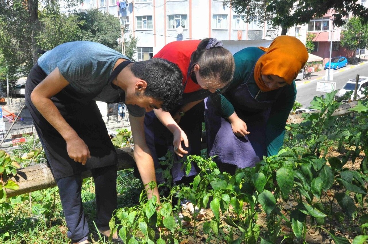 ESER’de hasat zamanı