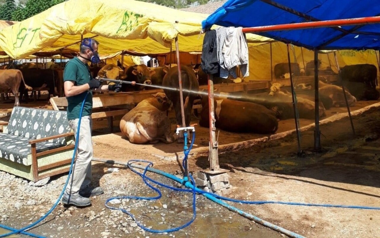 Kocaeli’de kurban satış yerleri ilaçlanıyor