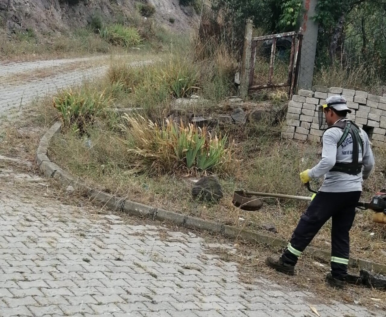 Körfez’de ot biçme çalışmaları sürüyor