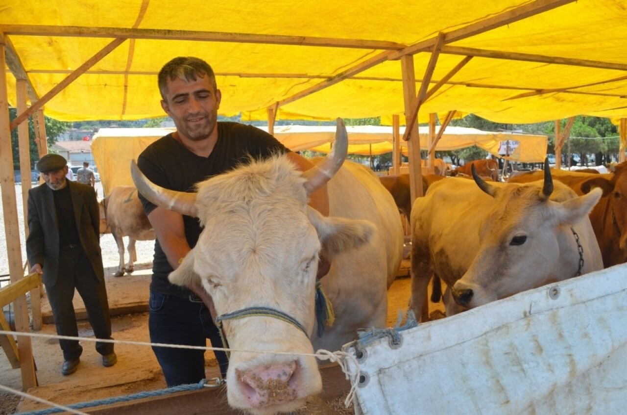 Mudanya’da kurbanlıklar satışa sunuldu