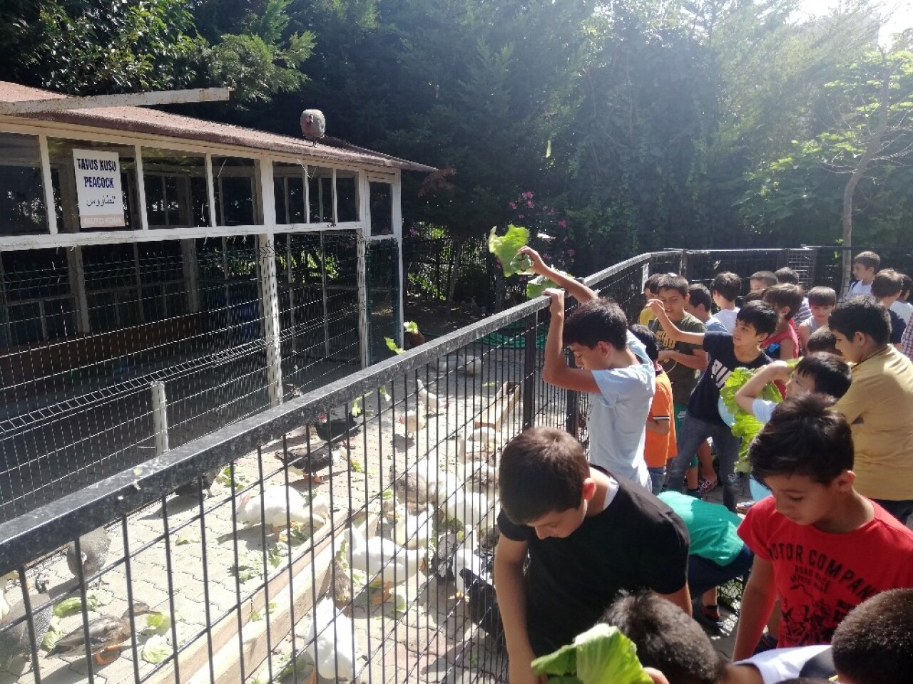 Öğrencilerden, Türkiye Deniz Canlıları Müzesi’ne ziyaret