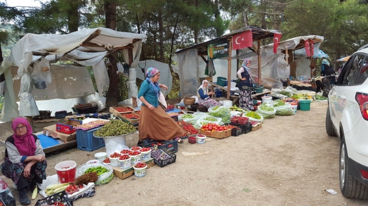 Organik ürünler tüketiciye aracısız olarak ucuza ulaşıyor