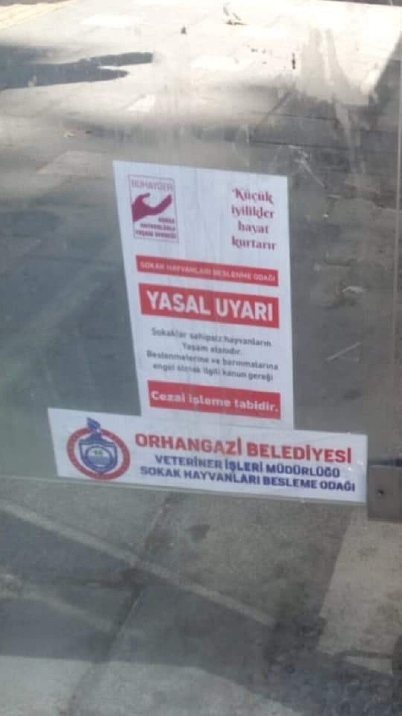 Orhangazi’de sokak hayvanları sahipsiz değil