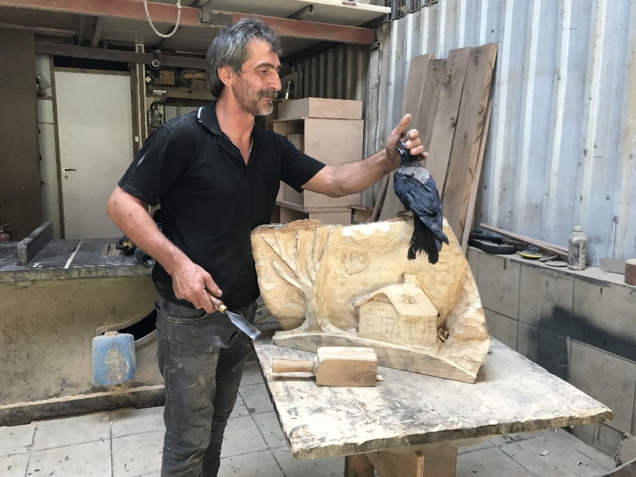 (Özel) Esnaf ile karganın dostluğu herkesi şaşırtıyor