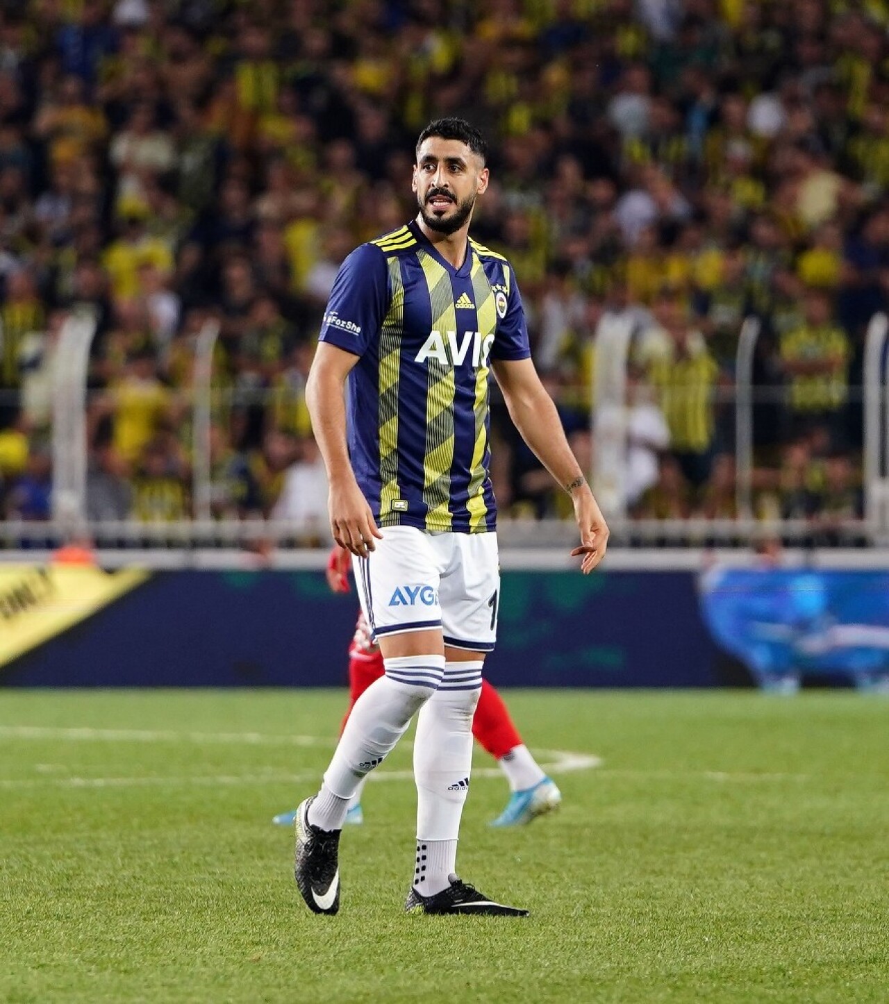 Tolga eksiltti, Dirar attı