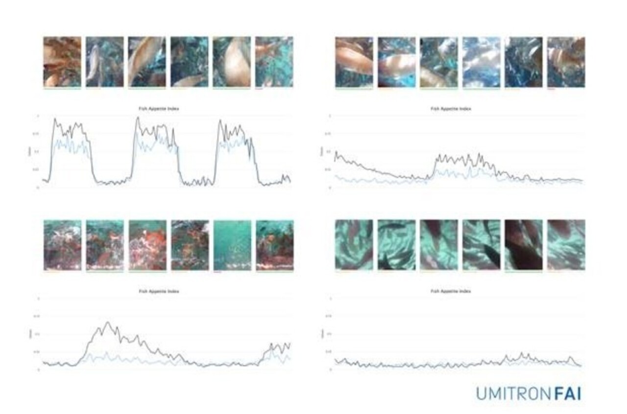 UMITRON, Fish Appetite Index’i piyasaya sürdü