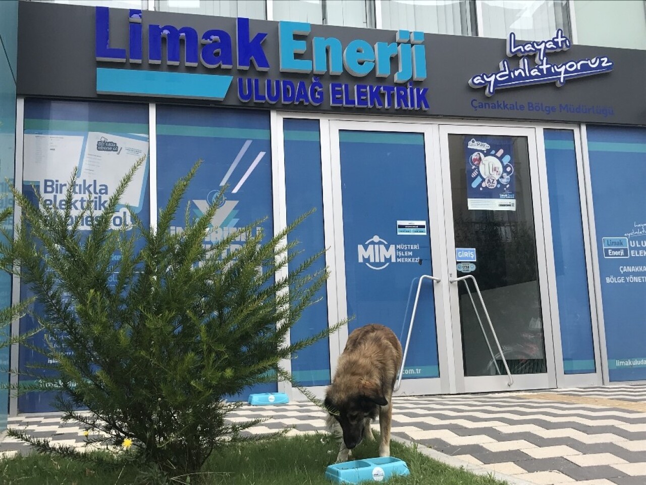 Yaz sıcaklarında sokak hayvanlarını unutmadılar