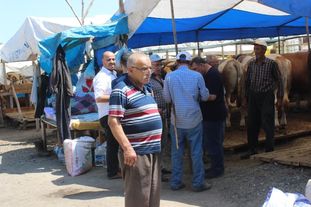 Zeytinburnu’nda kurbanlık satışları başladı