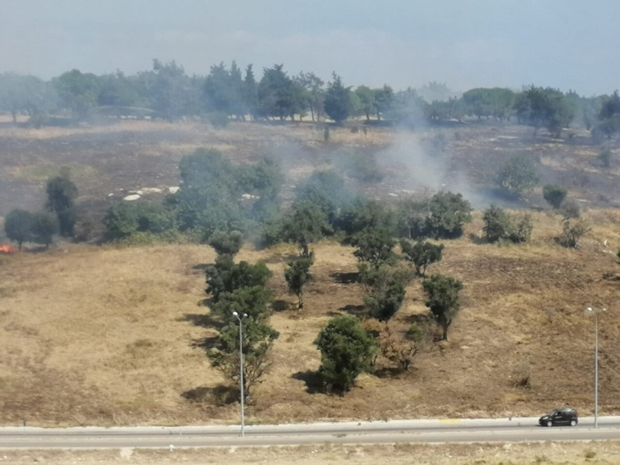 Askeri çamlıkta korkutan yangın