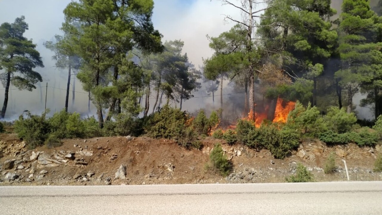 Bursa’da orman yangını...Çam ağaçları yanıyor