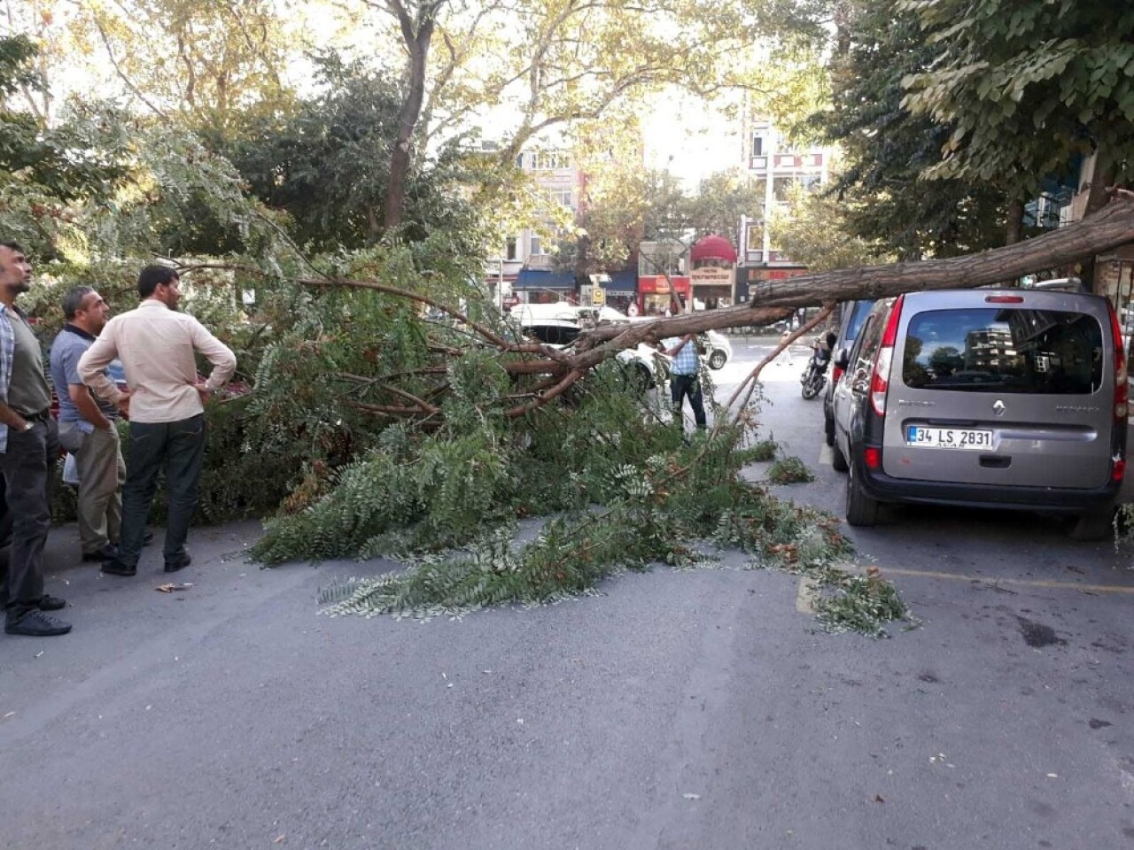 Fatih’te şiddetli rüzgardan ağaç otomobilin üstüne devrildi