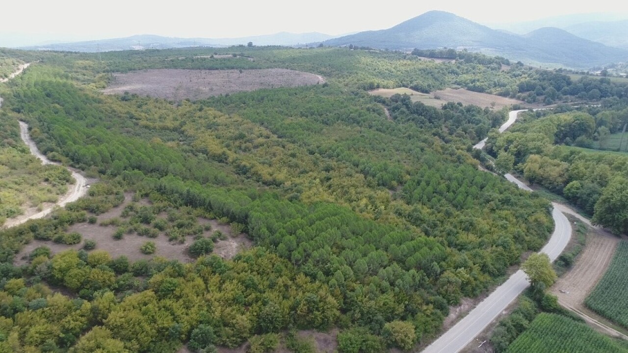 Mustafakemalpaşa termal turizmin cazibe merkezi olacak