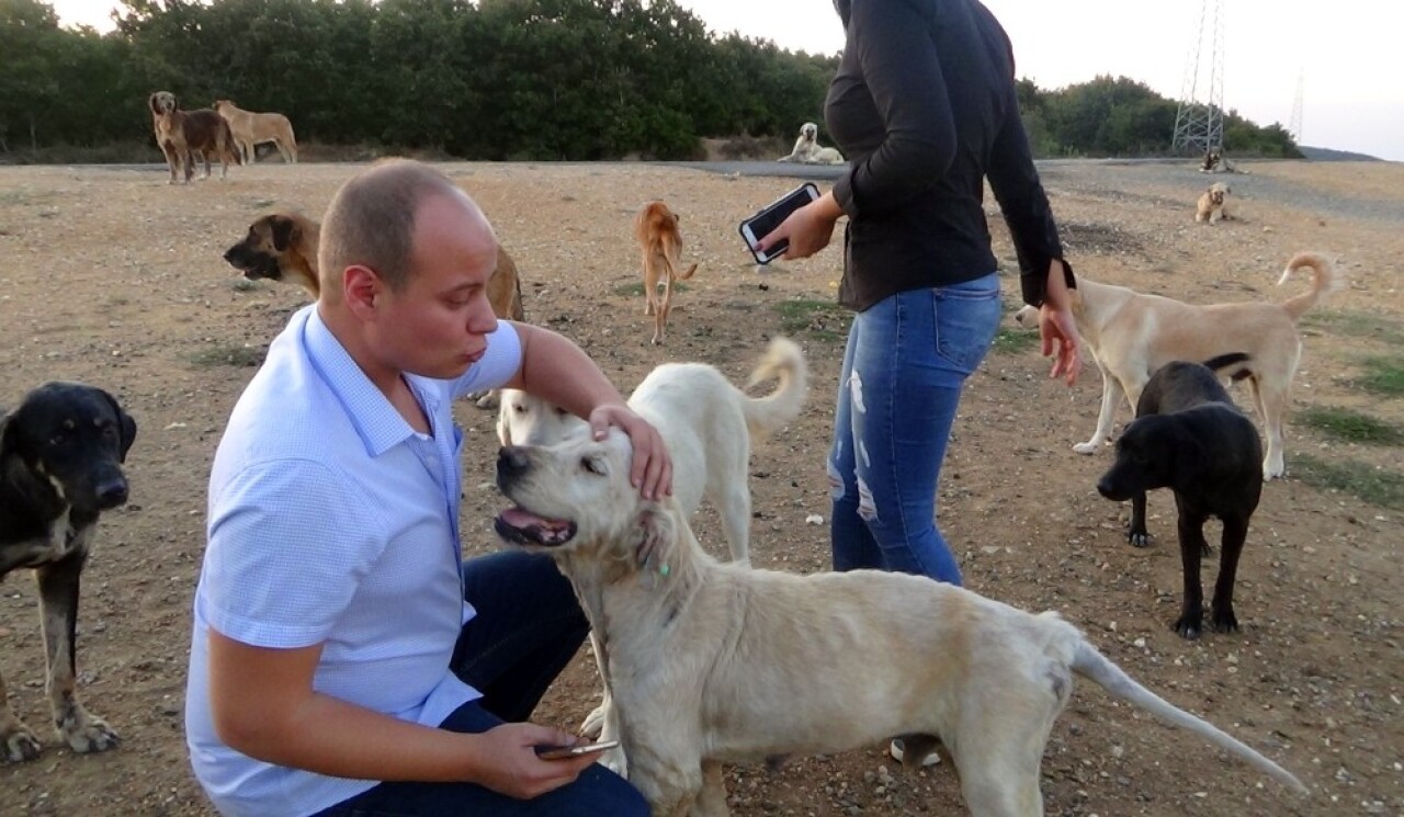 (ÖZEL) Çatalca’da köpeklerin ormana terk edilmesine hayvanseverlerden tepki