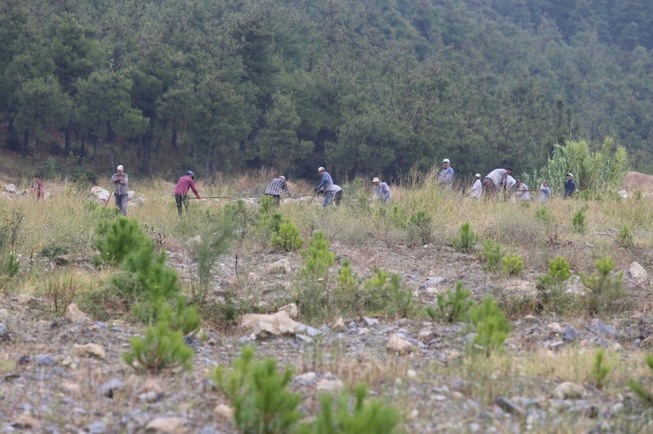 Madenler çıkarıldı...20 bin fıstık ve akasya maden sahasına dikildi