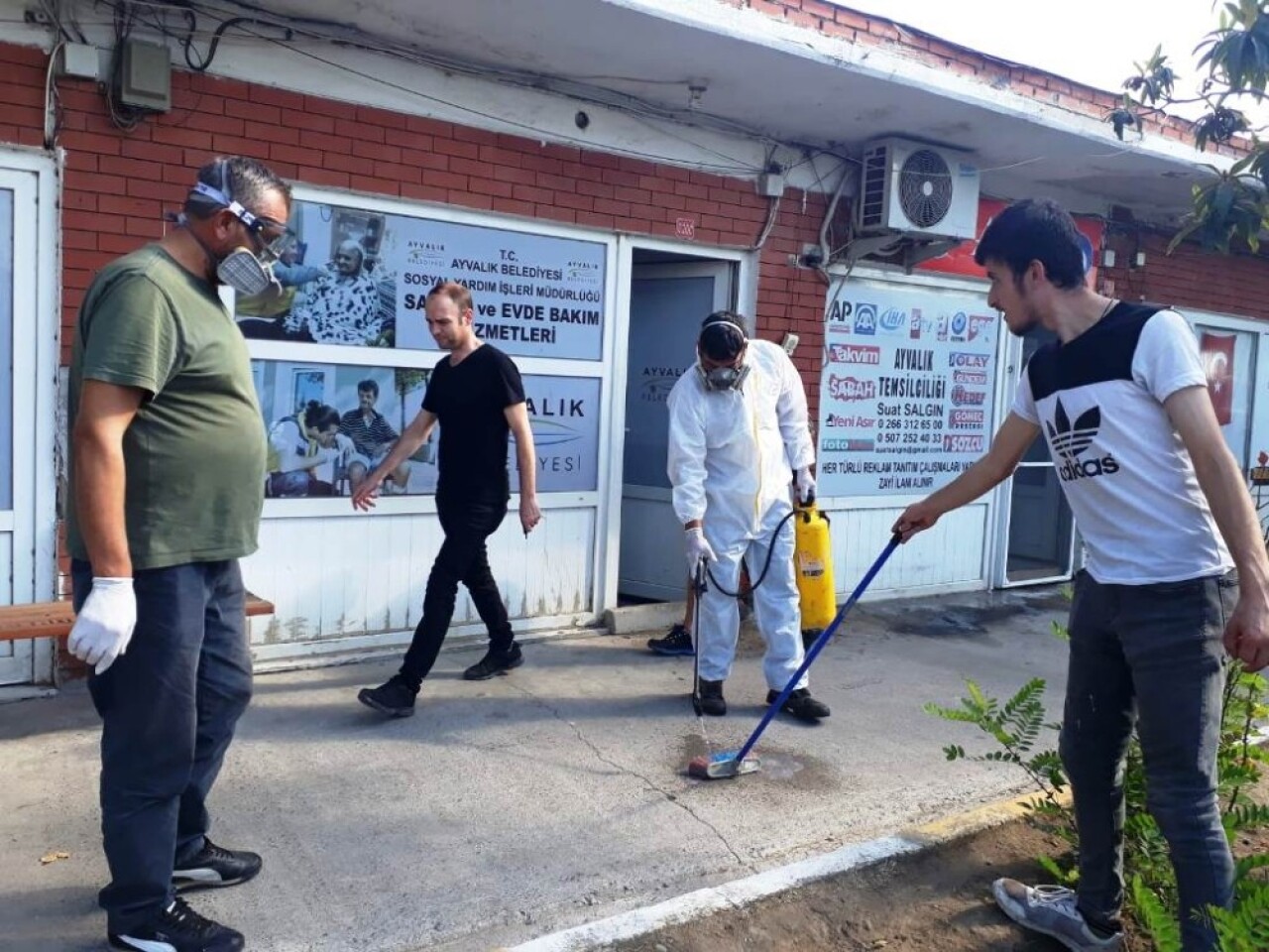 Sokak hayvanlarından yayılan keneler Eski Garaj’ı bastı imdada Ayvalık Belediyesi yetişti