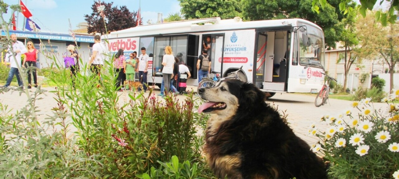 Vet-Büs, minik dostlar için Kartal’a geliyor