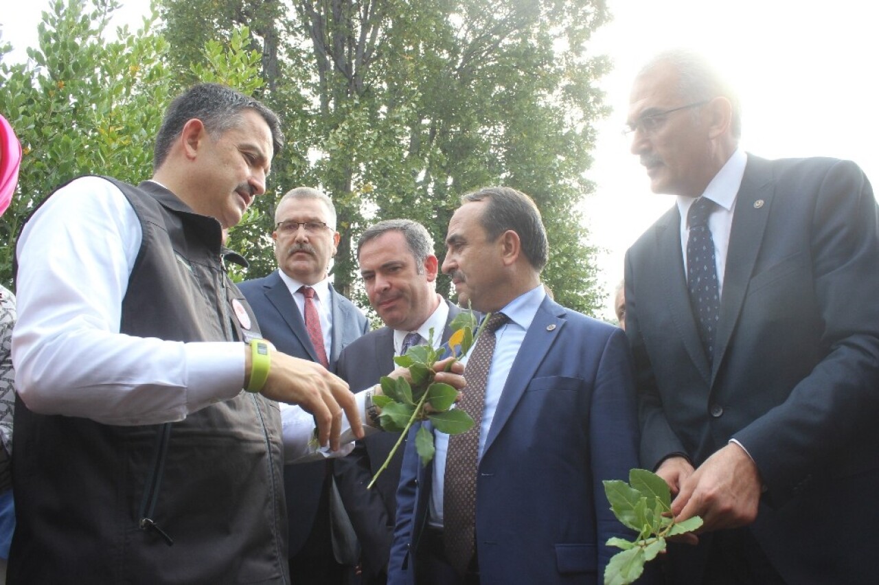 Bakan Pakdemirli defne ve kestane hasadı ile bal sağımı yaptı