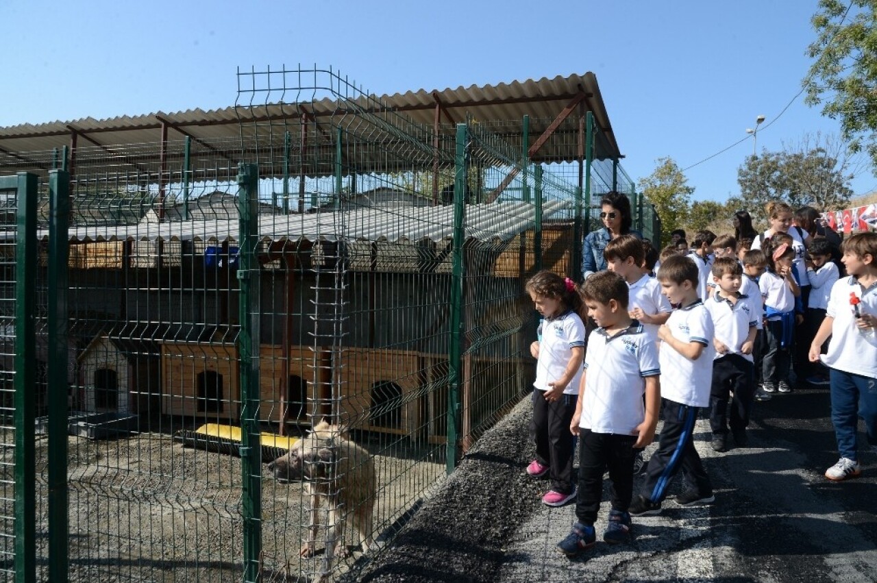 Beylikdüzü’nde minik öğrencileri sokak hayvanlarıyla buluşturdu