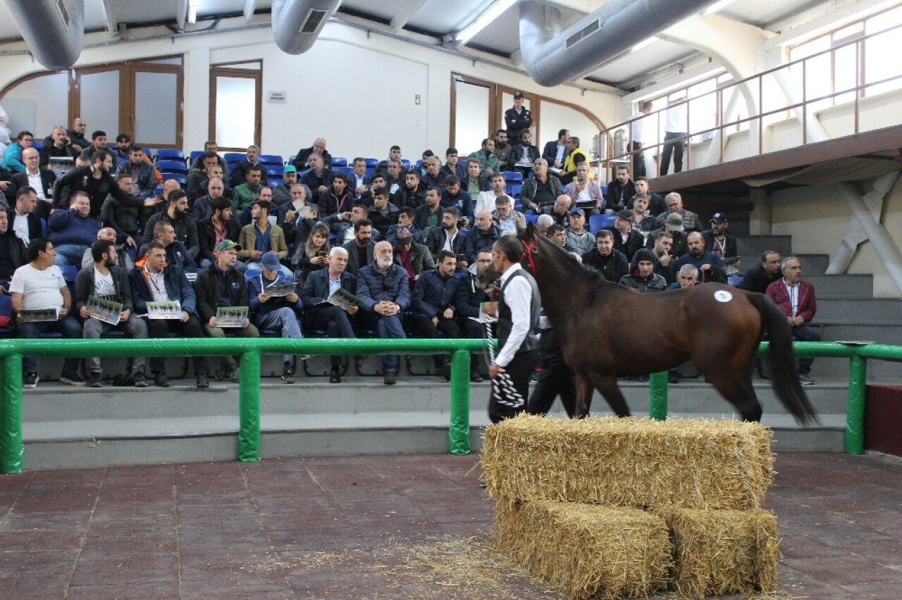 Ev fiyatına taylar için kıyasıya rekabet