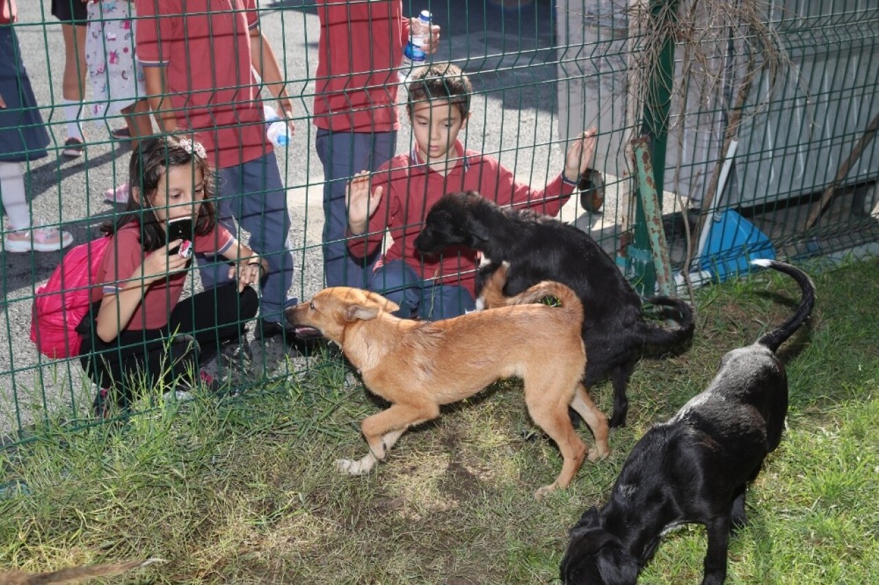 Gaziosmanpaşa’da çocuklar hayvan barınağını gezip, mama dağıttı