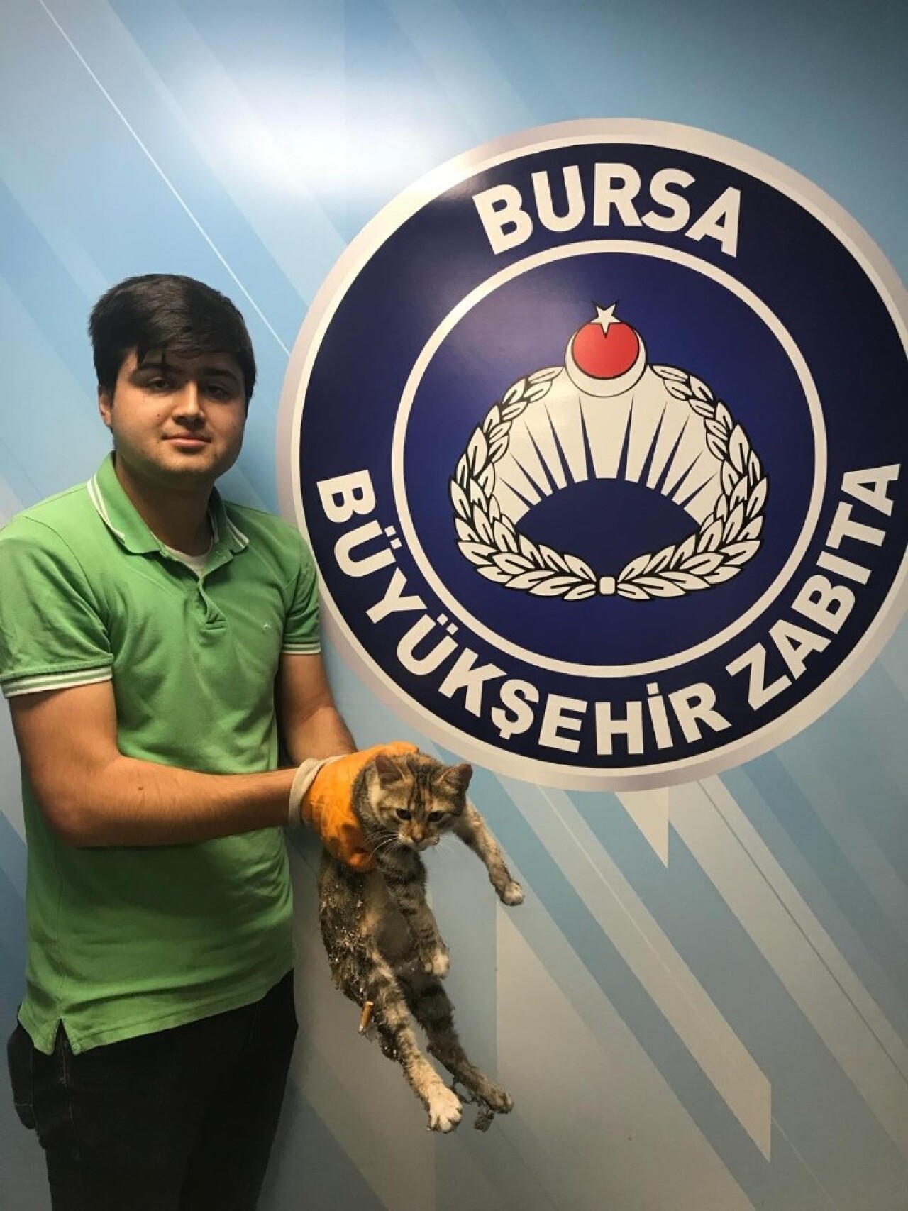 İşkenceye uğrayan kediye Büyükşehir şefkati