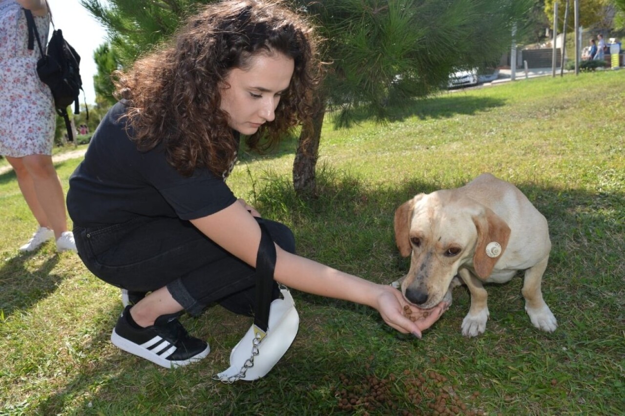 İzmit’te sokak hayvanlarına 150 kilo mama dağıtıldı