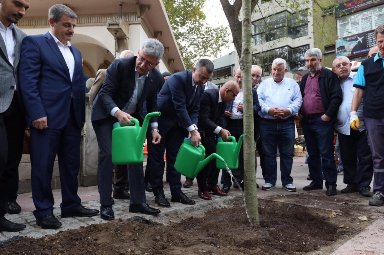 Kesilen tarihi çınar ağacının yerine yenisi dikildi