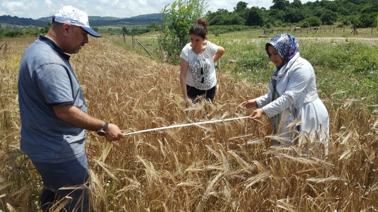 Kocaeli’de çiftçilere yüzde 50 hibeli tohumlar dağıtılacak