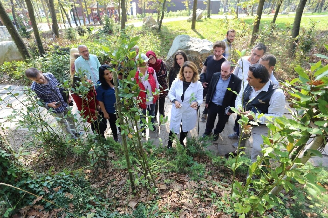 Kocaeli’de tıbbi aromatik bitki yetiştiriciliğine tam destek