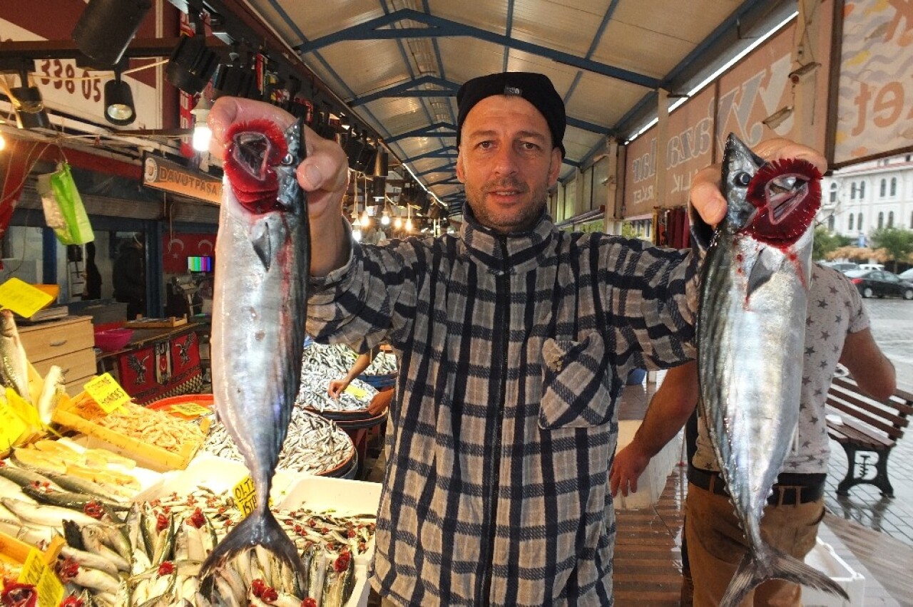 Marmara’nın ilk palamutları tezgahlardaki yerini aldı