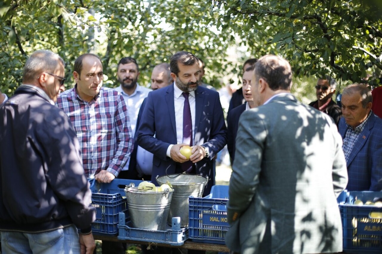 (Özel) Kadına şiddete dikkat çektiler, Belediye Başkanı ve muhtarlar armut topladı