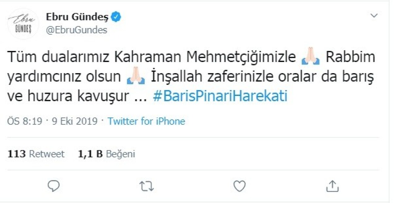 Ünlü isimlerden Barış Pınarı Harekatı’na destek