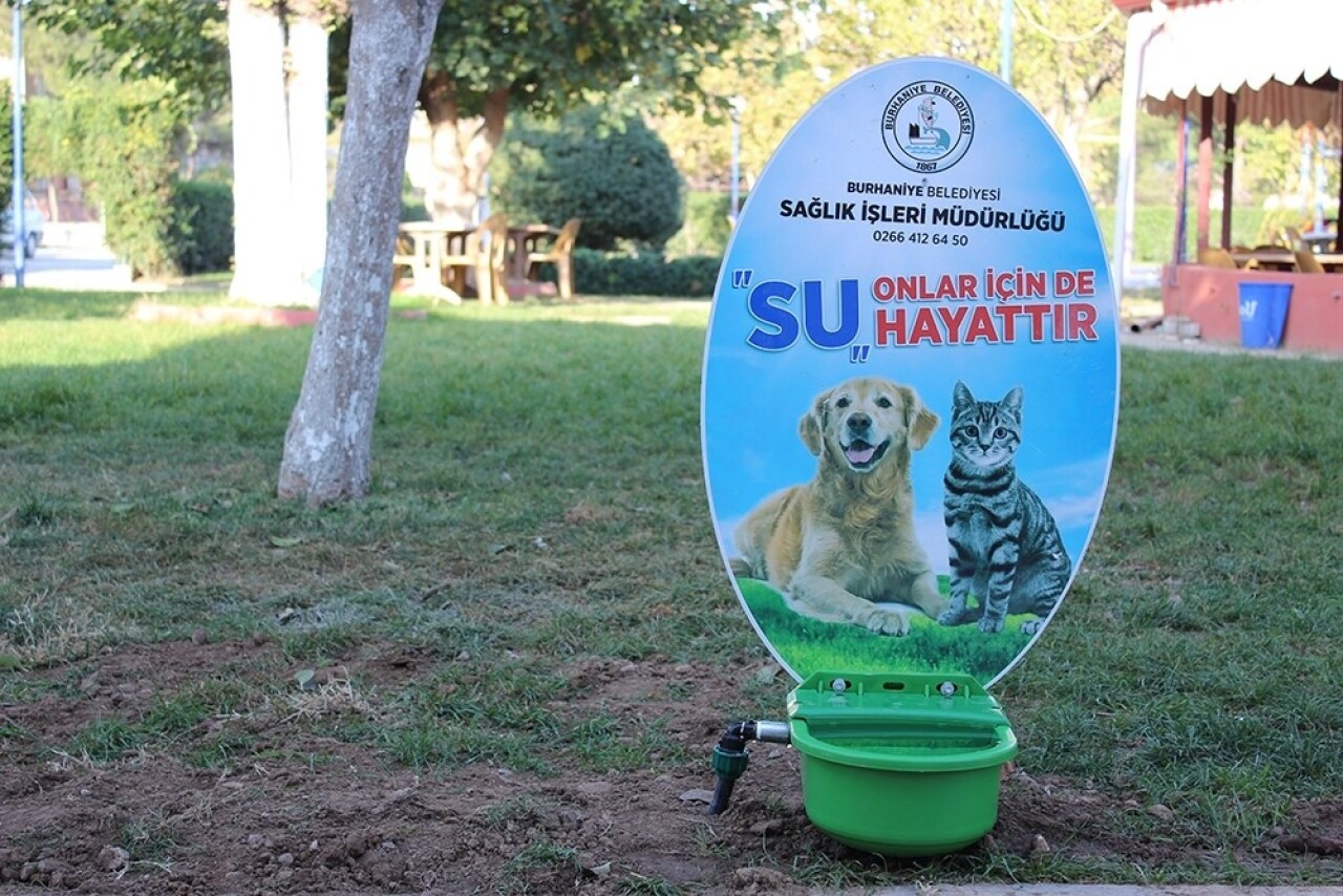 Burhaniye’de sokak hayvanlarına suluk